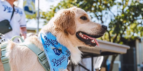 Chicago White Sox at Kansas City Royals at Kauffman Stadium
