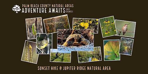 Adventure Awaits - Sunset Hike @ Jupiter Ridge
