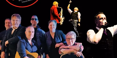 The Human Touch Springsteen Tribute Band @ Lagan Valley Island, Lisburn 
