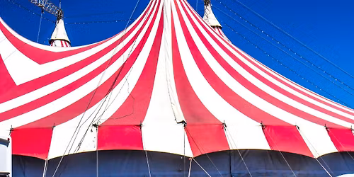 Join the Circus!