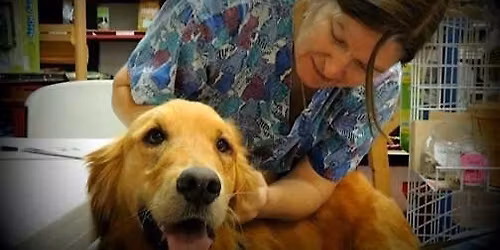 Dr. Wolf - Holistic Vet Chat