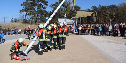 Maibaum setzen in Zempin