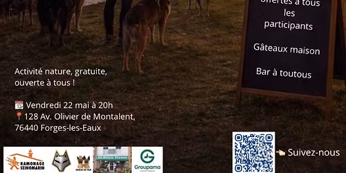 Cani-balade coucher de soleil \ud83c\udf05 