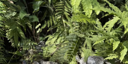 LO Chicago | Semillitas Outdoors:  Exploring the New EMG Children's Garden