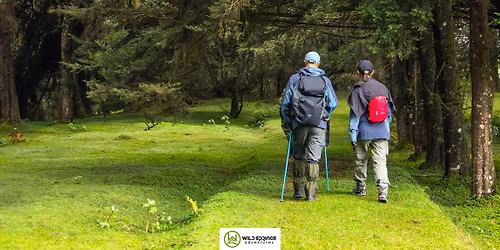 Kereita Forest Hike and Waterfalls Chase Trek