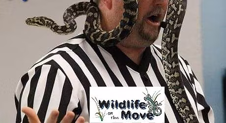 Wildlife On The Move Presents Boas vs. Pythons at Summer Language Academy (Grand Prairie, TX)