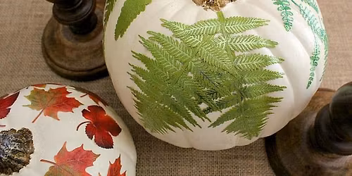 Mod Podge Pumpkin Painting $20.00