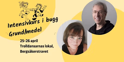 Intensivkurs i bugg - Grund\/medel