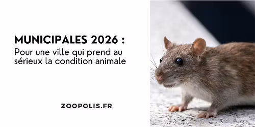 PERPIGNAN (66) : Manif Municipales 2026 \/ charte PAZ