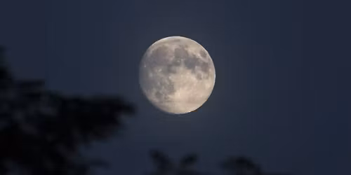 Tellabration 2025: A Night of Storytelling with GR Story Spinners