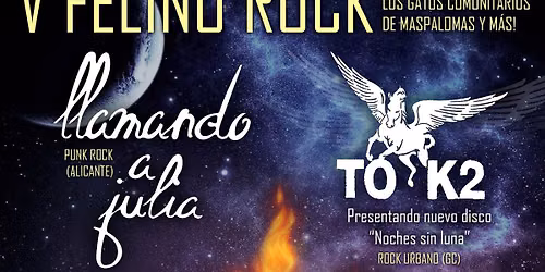 V FELINO ROCK