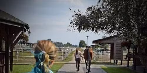 Szkolenie z oka \ud83d\udc41 na konia \ud83d\udc34