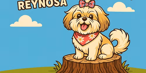 Shih Tzu Festival - Reynosa