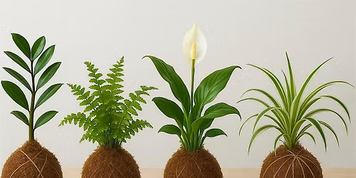 Kokedama Workshop ft. Moss & Pixel