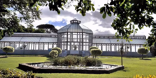 67 Blankets World Creativity and Innovation Day