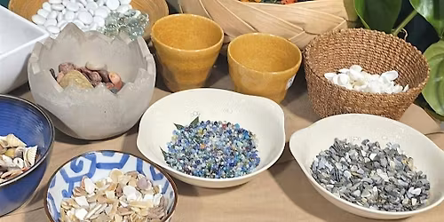 BWA San Jose: Zen & Gem \u2013 Crafting Your Marimo Oasis