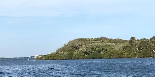 THE TIMUCUA OF TURTLE MOUND (Apollo District)
