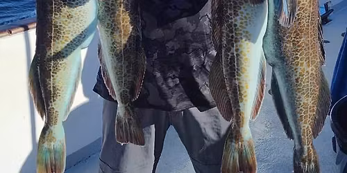 12 Hour Charter w\/ Black Pearl Sportfishing (PENDING ROCKFISH OPENER DATE) 