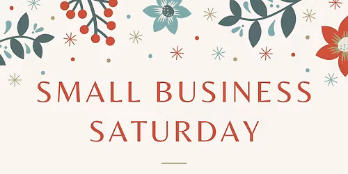 \u2728 Small Business Saturday at Platinum Hair Studio \u2728