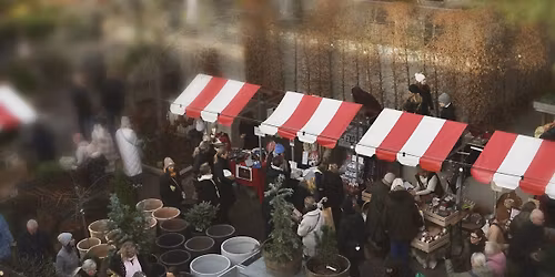 Zetas julmarknad 2025