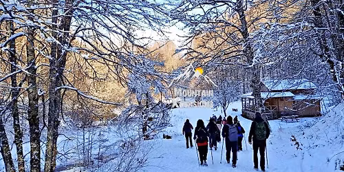 \u039a\u03c5\u03c1\u03b9\u03b1\u03ba\u03ae 21 \u0394\u03b5\u03ba\u03b5\u03bc\u03b2\u03c1\u03af\u03bf\u03c5 2025, \u039c\u03b5\u03b3\u03ac\u03bb\u03b1 \u039b\u03b9\u03b2\u03ac\u03b4\u03b9\u03b1 A\u03bd\u03b5\u03bc\u03bf\u03c1\u03ac\u03c7\u03b7, \u03be\u03cd\u03bb\u03b9\u03bd\u03b1 \u03b3\u03b5\u03c6\u03cd\u03c1\u03b9\u03b1