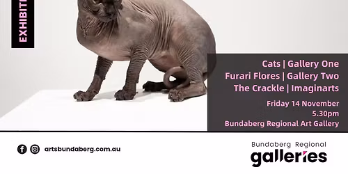 Summer Exhibitions Opening