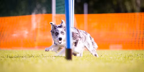 BTW:n Luciakulkue \/ BTW:s Luciat\u00e5g