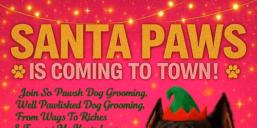 Santa Paws \ud83d\udc3e