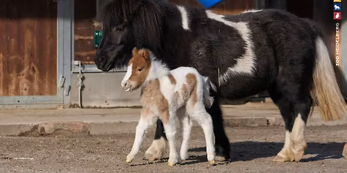 MUTTER-KIND-TOUR - THEMENF\u00dcHRUNG