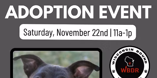 Petsmart Adoption Event