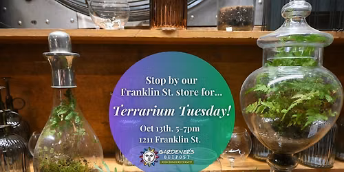 Terrarium Tuesday!