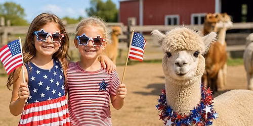 Alpacas & America