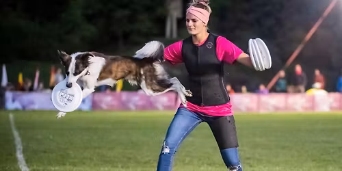 DOGFRISBEE SEMIN\u00c1\u0158 S ANIOU \ud83e\udd4f VOL.2