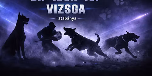 BH IGP vizsga 