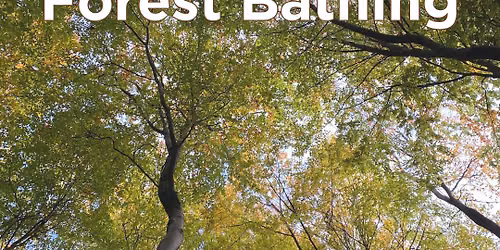 Forest Bathing Introductory Session
