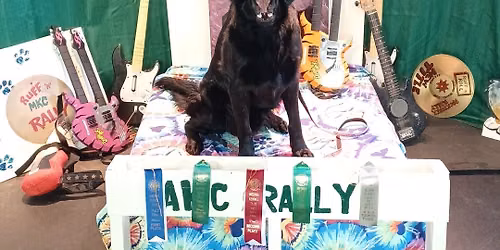 Medina Kennel Club Rocktober Rally Trial