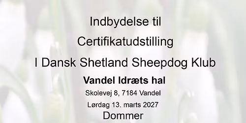 Certifikat udstilling