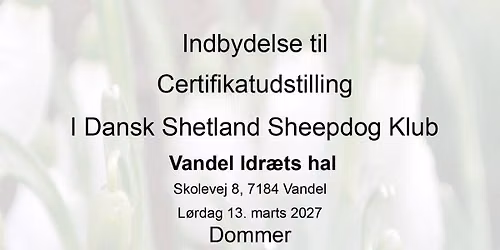 Certifikat udstilling