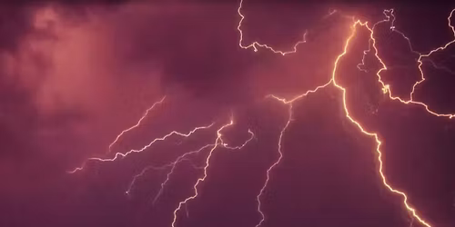 Mad Science: Biology, Technology, Systems of Power International Interdisciplinary Conference