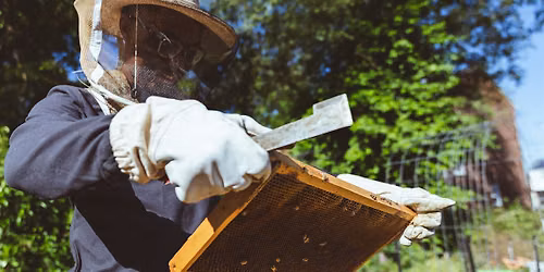 Diaspora Honey: Honey Harvesting Workshop