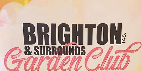 Brighton & Surrounds Garden Club-Brighton Show Floral Arrangement Short Course