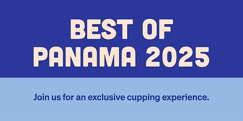 Best of Panama 2025 Cupping - Adelaide