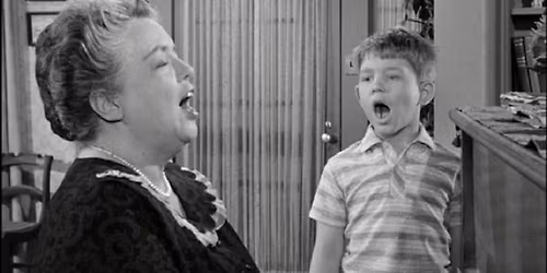 PROFESSOR BROWER LECTURE - "Aunt Bee's Medicine Man"