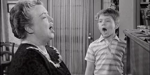 PROFESSOR BROWER LECTURE - "Aunt Bee's Medicine Man"