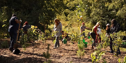 Ecological Restoration Planting with Nikibii Dawadinna Giigwag