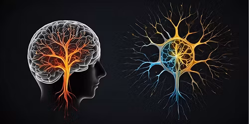 Science Cafe - How does the brain change when we learn something new?