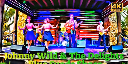 Johnny Wild and The Delights at Orange Blossom Opry