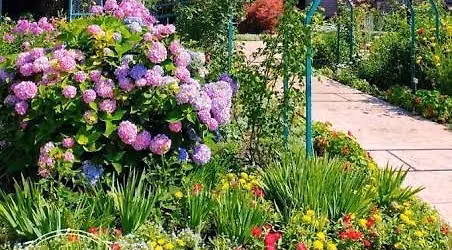 Muskegon Monet Garden Work Session