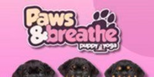 Puppy yoga Birmingham