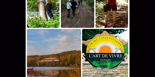 SHINRIN YOKU, YOGA et SATSANG \u2022 Au c\u0153ur du temple  